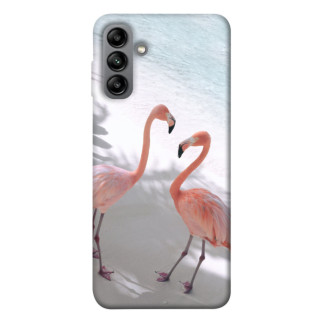 Чохол itsPrint Flamingos для Samsung Galaxy A04s - Інтернет-магазин спільних покупок ToGether