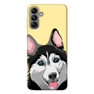 Чохол itsPrint Husky dog для Samsung Galaxy A04s - Інтернет-магазин спільних покупок ToGether