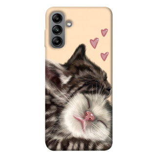 Чохол itsPrint Cats love для Samsung Galaxy A04s - Інтернет-магазин спільних покупок ToGether