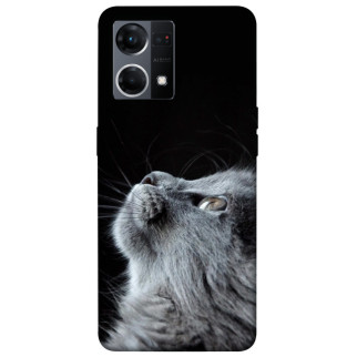Чохол itsPrint Cute cat для Oppo Reno 7 4G - Інтернет-магазин спільних покупок ToGether