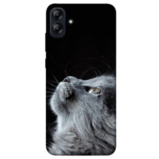 Чохол itsPrint Cute cat для Samsung Galaxy A04e - Інтернет-магазин спільних покупок ToGether