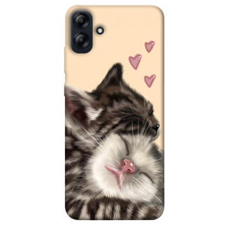 Чохол itsPrint Cats love для Samsung Galaxy A04e - Інтернет-магазин спільних покупок ToGether