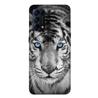 Чохол itsPrint Бенгальський тигр для Oppo Reno 5 4G - Інтернет-магазин спільних покупок ToGether