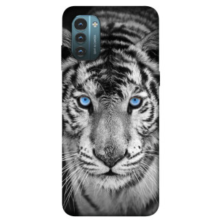 Чохол itsPrint Бенгальський тигр для Nokia G21 - Інтернет-магазин спільних покупок ToGether