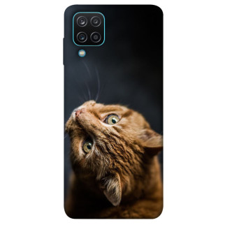 Чохол itsPrint Рудий кіт для Samsung Galaxy M12 - Інтернет-магазин спільних покупок ToGether