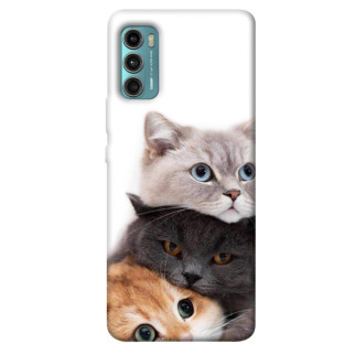 Чохол itsPrint Три коти для Motorola Moto G60 - Інтернет-магазин спільних покупок ToGether