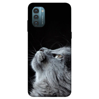 Чохол itsPrint Cute cat для Nokia G21 - Інтернет-магазин спільних покупок ToGether