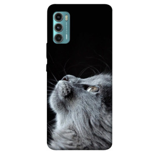 Чохол itsPrint Cute cat для Motorola Moto G60 - Інтернет-магазин спільних покупок ToGether