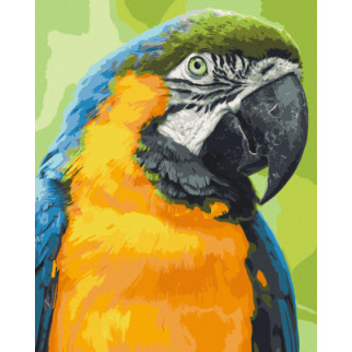 Картина за номерами. Art Craft Папуга Ара 40х50 см 11643-AC - Інтернет-магазин спільних покупок ToGether