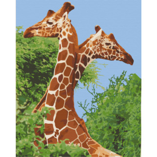 Картина за номерами. Art Craft Пара жирафів 40х50 см 11613-AC - Інтернет-магазин спільних покупок ToGether