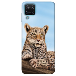 Чохол itsPrint Proud leopard для Samsung Galaxy M12 - Інтернет-магазин спільних покупок ToGether