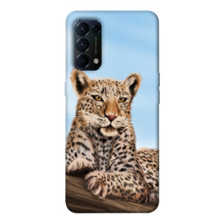 Чохол itsPrint Proud leopard для Oppo Reno 5 4G - Інтернет-магазин спільних покупок ToGether