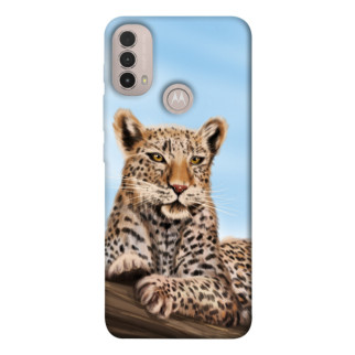 Чохол itsPrint Proud leopard для Motorola Moto E40 - Інтернет-магазин спільних покупок ToGether