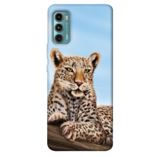 Чохол itsPrint Proud leopard для Motorola Moto G60 - Інтернет-магазин спільних покупок ToGether