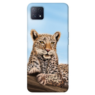 Чохол itsPrint Proud leopard для Oppo A72 5G / A73 5G - Інтернет-магазин спільних покупок ToGether