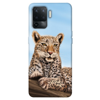 Чохол itsPrint Proud leopard для Oppo Reno 5 Lite - Інтернет-магазин спільних покупок ToGether
