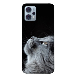 Чохол itsPrint Cute cat для Motorola Moto G23 - Інтернет-магазин спільних покупок ToGether