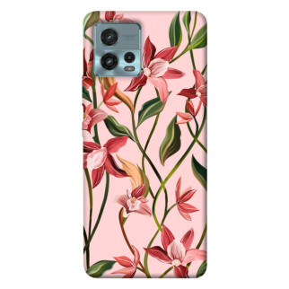 Чохол itsPrint Floral motifs для Motorola Moto G72 - Інтернет-магазин спільних покупок ToGether