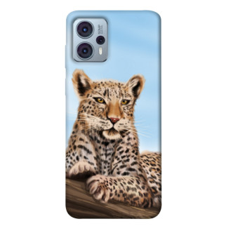 Чохол itsPrint Proud leopard для Motorola Moto G23 - Інтернет-магазин спільних покупок ToGether