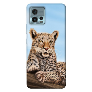 Чохол itsPrint Proud leopard для Motorola Moto G72 - Інтернет-магазин спільних покупок ToGether