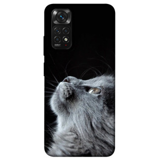Чохол itsPrint Cute cat для Xiaomi Redmi Note 11 (Global) / Note 11S - Інтернет-магазин спільних покупок ToGether