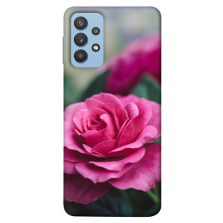 Чохол itsPrint Троянда у саду для Samsung Galaxy M32 - Інтернет-магазин спільних покупок ToGether