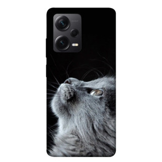 Чохол itsPrint Cute cat для Xiaomi Redmi Note 12 Pro+ 5G - Інтернет-магазин спільних покупок ToGether
