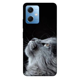 Чохол itsPrint Cute cat для Xiaomi Poco X5 5G - Інтернет-магазин спільних покупок ToGether
