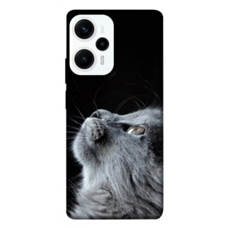 Чохол itsPrint Cute cat для Xiaomi Poco F5 Pro - Інтернет-магазин спільних покупок ToGether