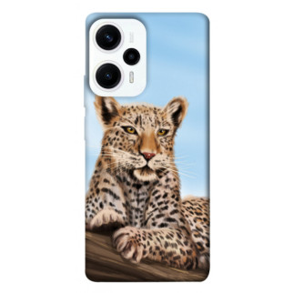 Чохол itsPrint Proud leopard для Xiaomi Poco F5 Pro - Інтернет-магазин спільних покупок ToGether
