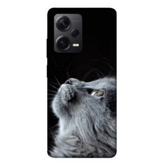Чохол itsPrint Cute cat для Xiaomi Poco X5 Pro 5G - Інтернет-магазин спільних покупок ToGether