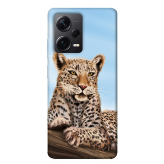 Чохол itsPrint Proud leopard для Xiaomi Poco X5 Pro 5G - Інтернет-магазин спільних покупок ToGether