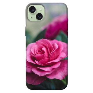 Чохол itsPrint Троянда у саду для Apple iPhone 15 Plus (6.7") - Інтернет-магазин спільних покупок ToGether