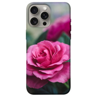 Чохол itsPrint Троянда у саду для Apple iPhone 15 Pro Max (6.7") - Інтернет-магазин спільних покупок ToGether