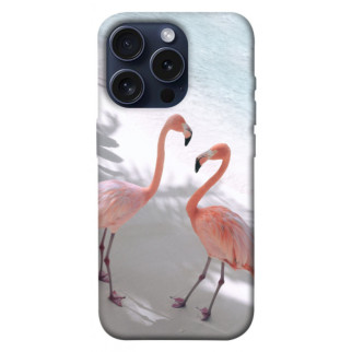 Чохол itsPrint Flamingos для Apple iPhone 15 Pro (6.1") - Інтернет-магазин спільних покупок ToGether