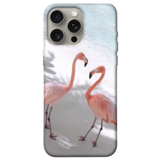 Чохол itsPrint Flamingos для Apple iPhone 15 Pro Max (6.7") - Інтернет-магазин спільних покупок ToGether