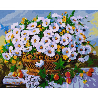 Картина за номерами "Літні квіти" ©Олександр Закусилов Ідейка KHO3118 40х50 см - Інтернет-магазин спільних покупок ToGether