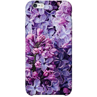 Чохол itsPrint Violet blossoms для Apple iPhone 6/6s plus (5.5") - Інтернет-магазин спільних покупок ToGether