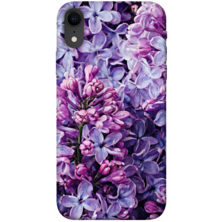 Чохол itsPrint Violet blossoms для Apple iPhone XR (6.1") - Інтернет-магазин спільних покупок ToGether