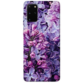 Чохол itsPrint Violet blossoms для Samsung Galaxy S20+ - Інтернет-магазин спільних покупок ToGether