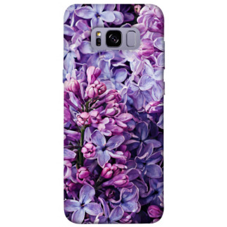 Чохол itsPrint Violet blossoms для Samsung G955 Galaxy S8 Plus - Інтернет-магазин спільних покупок ToGether