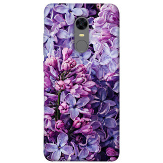 Чохол itsPrint Violet blossoms для Xiaomi Redmi 5 Plus / Redmi Note 5 (Single Camera) - Інтернет-магазин спільних покупок ToGether
