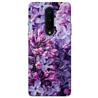 Чохол itsPrint Violet blossoms для OnePlus 8 - Інтернет-магазин спільних покупок ToGether