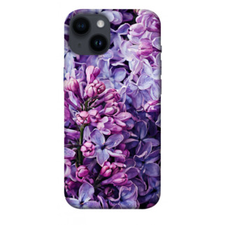 Чохол itsPrint Violet blossoms для Apple iPhone 14 (6.1") - Інтернет-магазин спільних покупок ToGether