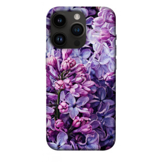 Чохол itsPrint Violet blossoms для Apple iPhone 14 Pro (6.1") - Інтернет-магазин спільних покупок ToGether