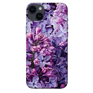 Чохол itsPrint Violet blossoms для Apple iPhone 14 Plus (6.7") - Інтернет-магазин спільних покупок ToGether