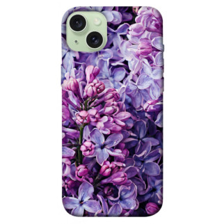 Чохол itsPrint Violet blossoms для Apple iPhone 15 Plus (6.7") - Інтернет-магазин спільних покупок ToGether