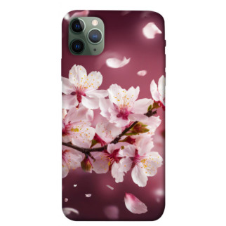 Чохол itsPrint Sakura для Apple iPhone 11 Pro Max (6.5") - Інтернет-магазин спільних покупок ToGether
