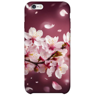 Чохол itsPrint Sakura для Apple iPhone 6/6s (4.7") - Інтернет-магазин спільних покупок ToGether