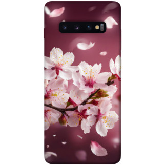 Чохол itsPrint Sakura для Samsung Galaxy S10+ - Інтернет-магазин спільних покупок ToGether